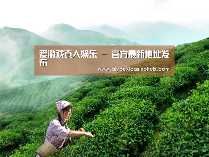 爱游戏真人娱乐 - 官方最新地址发布